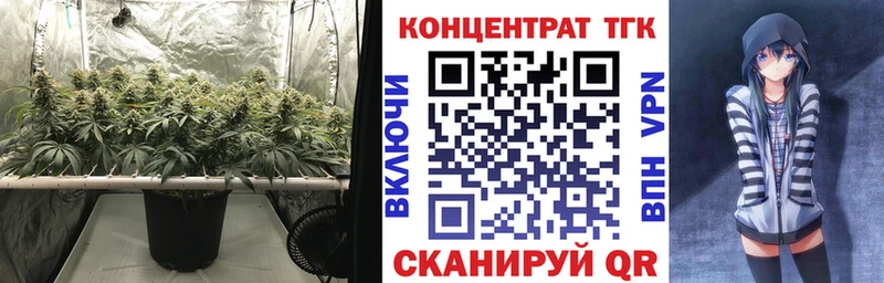 ТГК концентрат  Губкинский 
