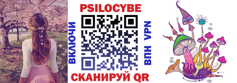 сколько стоит  Губкинский  Псилоцибиновые грибы MAGIC MUSHROOMS 