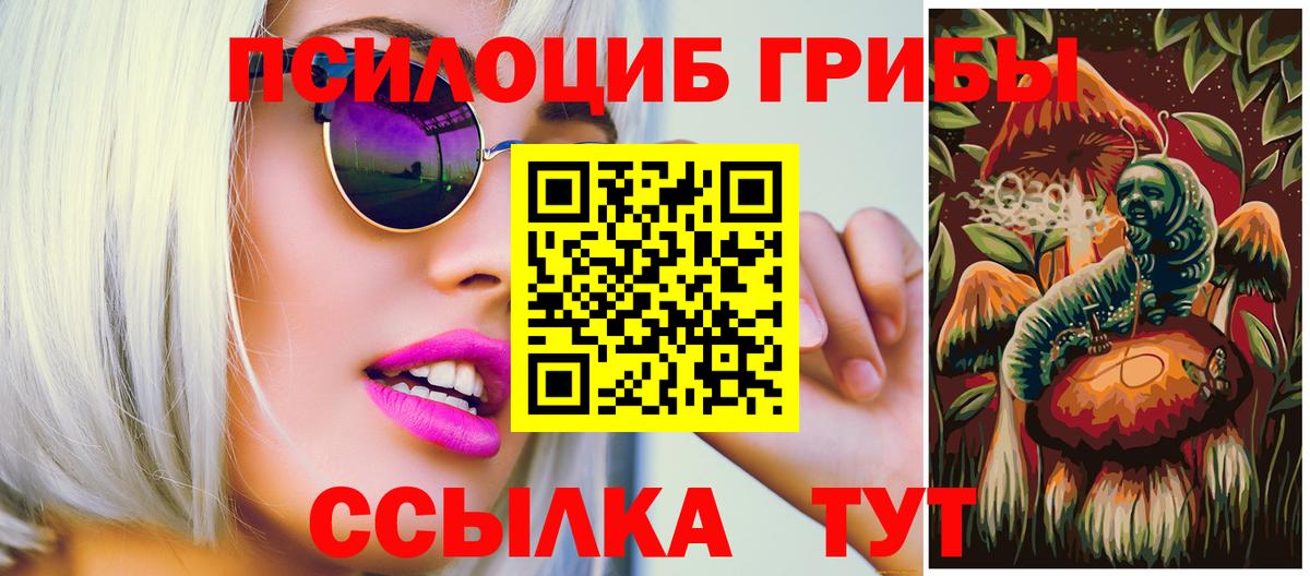 Галлюциногенные грибы мицелий  цена   Губкинский 