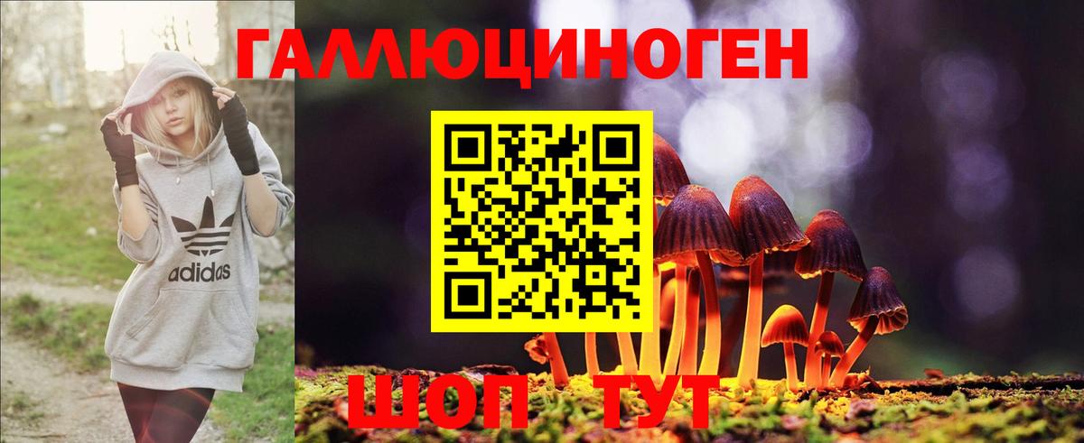 Псилоцибиновые грибы Psilocybe Губкинский